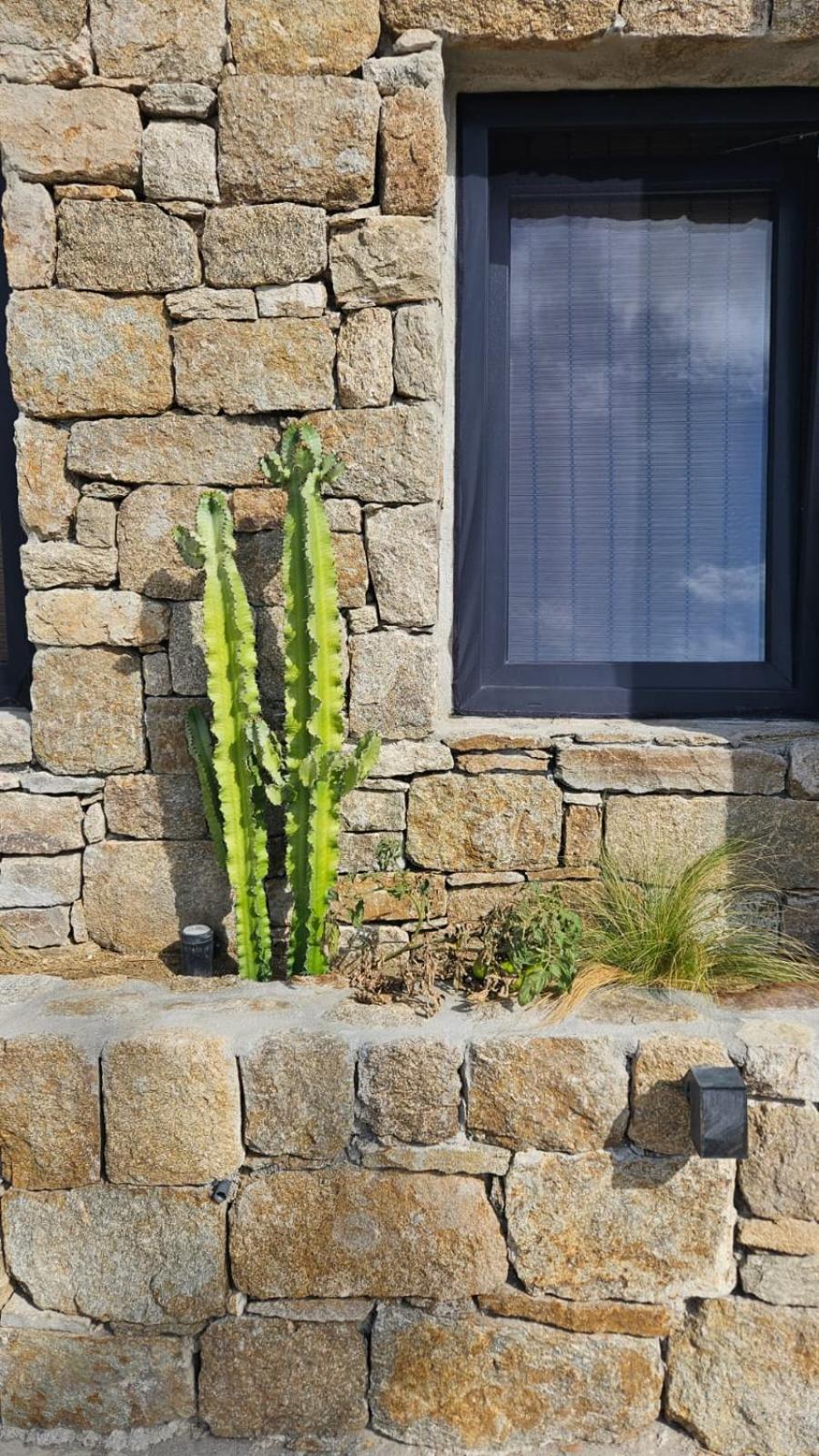 Elli Tropical Suites Mykonos Town Экстерьер фото